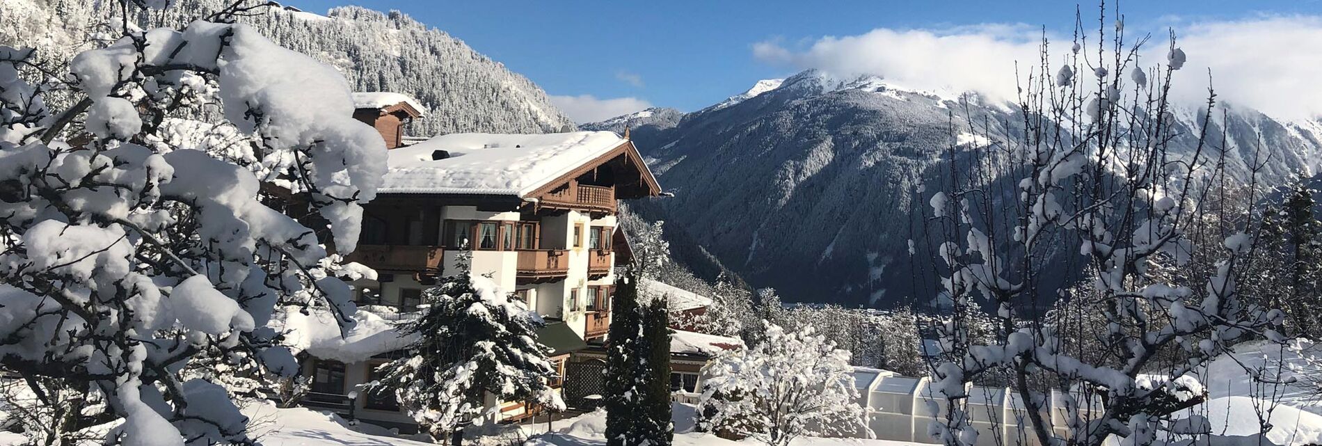 Alles auf einen Blick